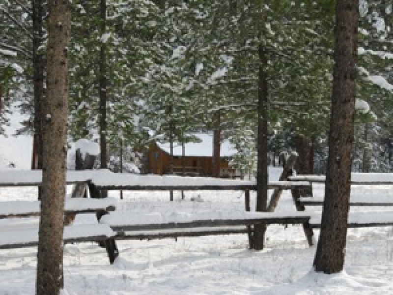 Homestead
